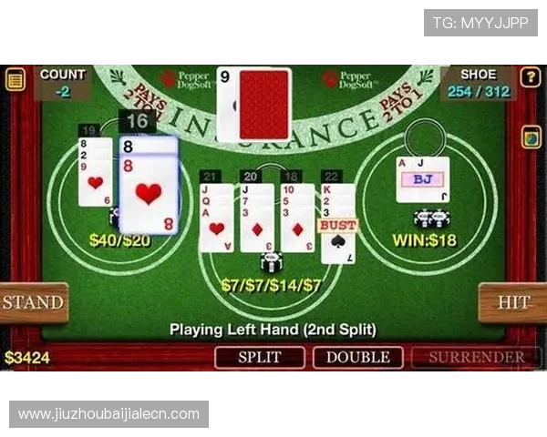 百家乐怎么玩才能稳赚不赔，专家教你科学投注与风险控制方法